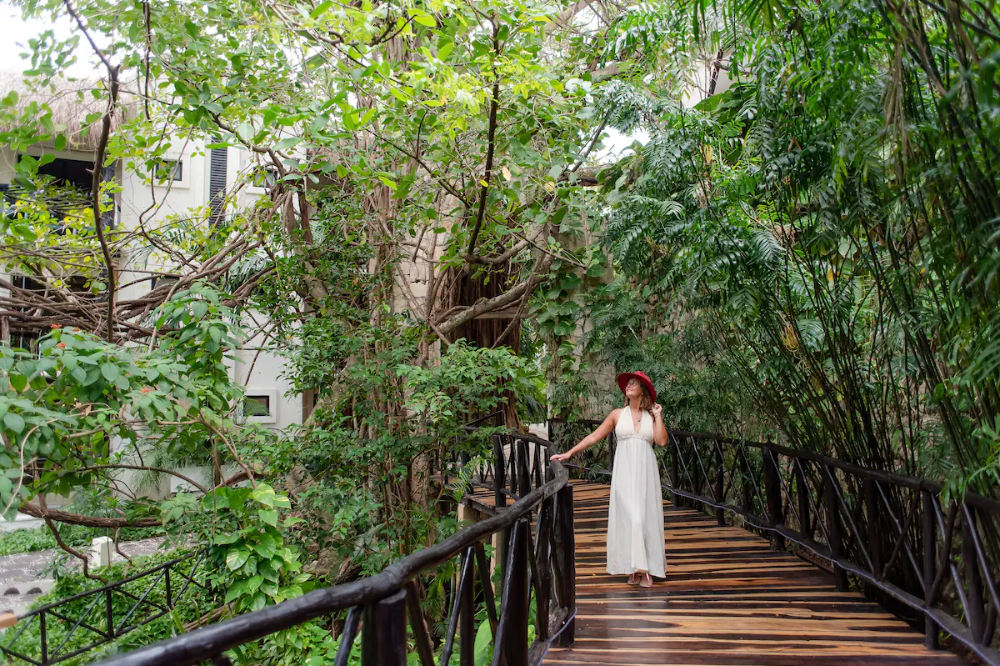 2024 The Reef Playacar 6