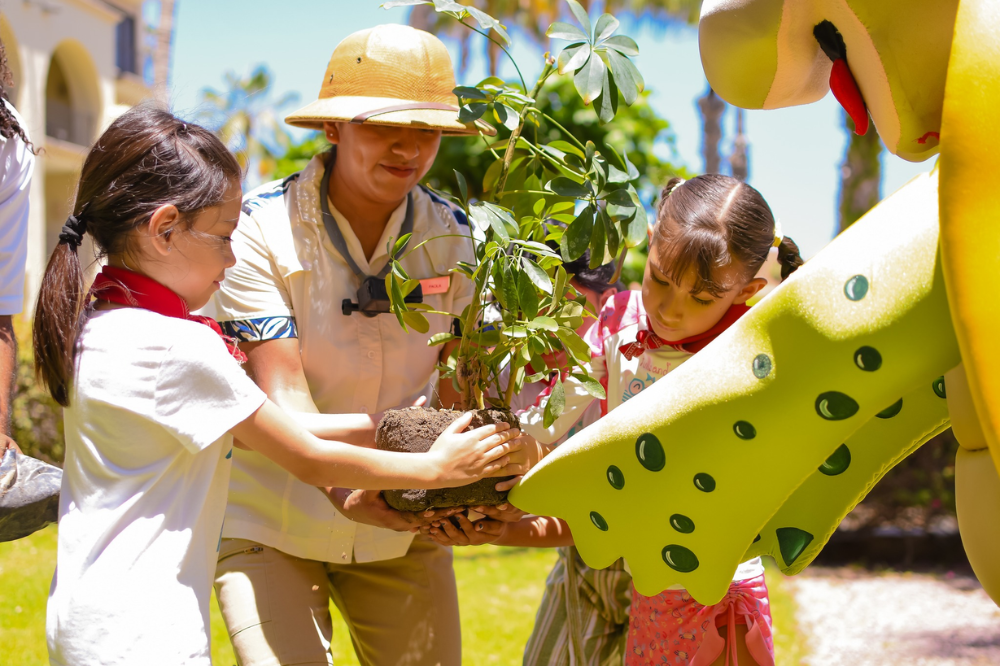 17 - Dreams Los Cabos