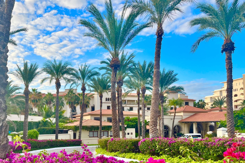 34 - Dreams Los Cabos