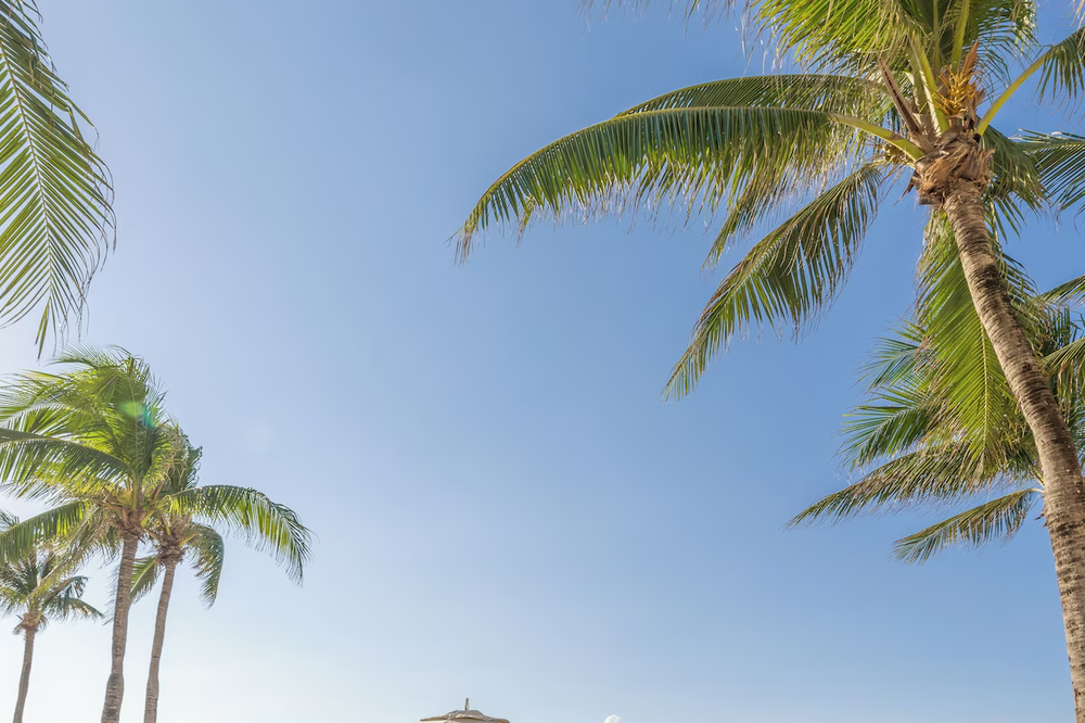 Cozumel Palace - Foto 5