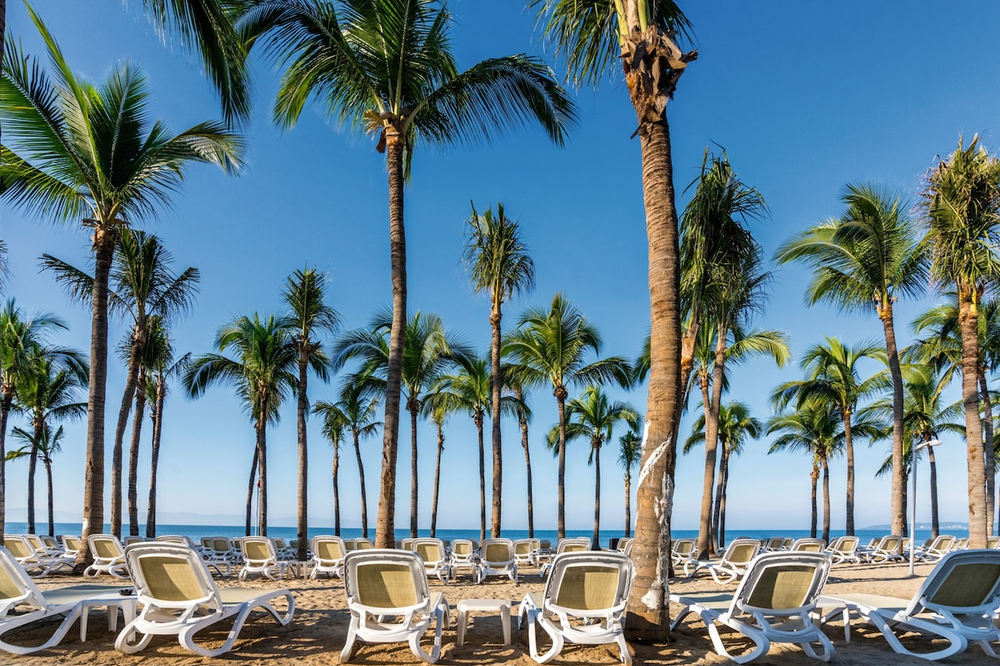 Hotel Riu Vallarta - Foto 5