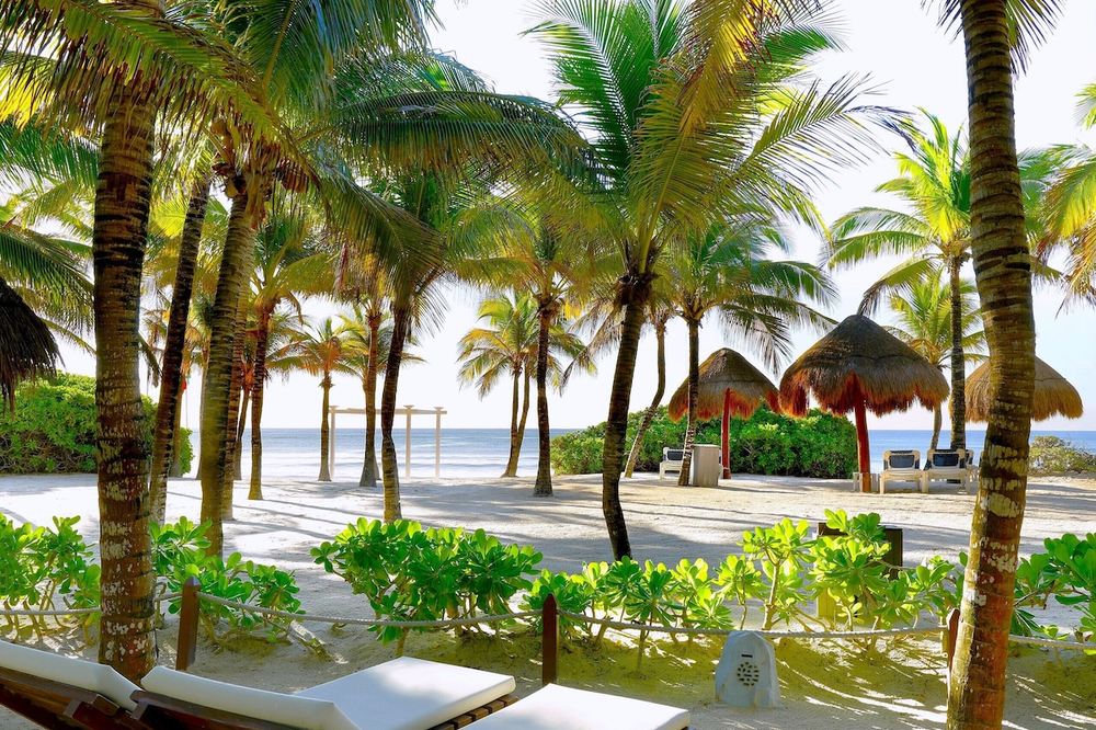 TRS Yucatan Hotel - Foto 5