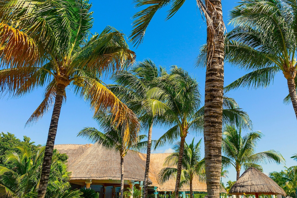 TRS Yucatan Hotel - Foto 2