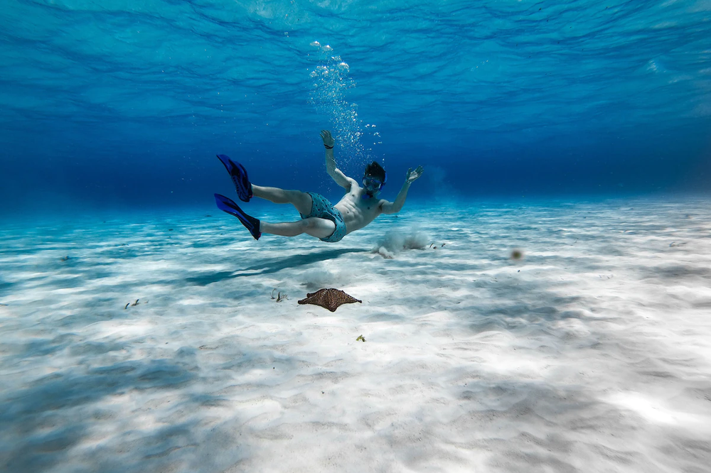 The Explorean Cozumel - Foto 4