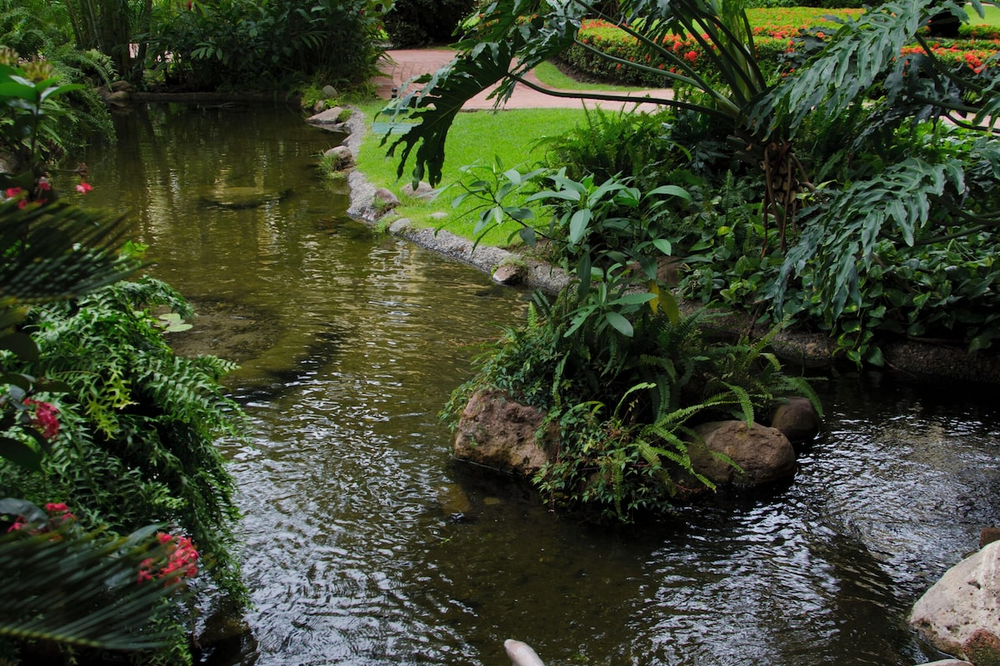 Velas Vallarta - Foto 5