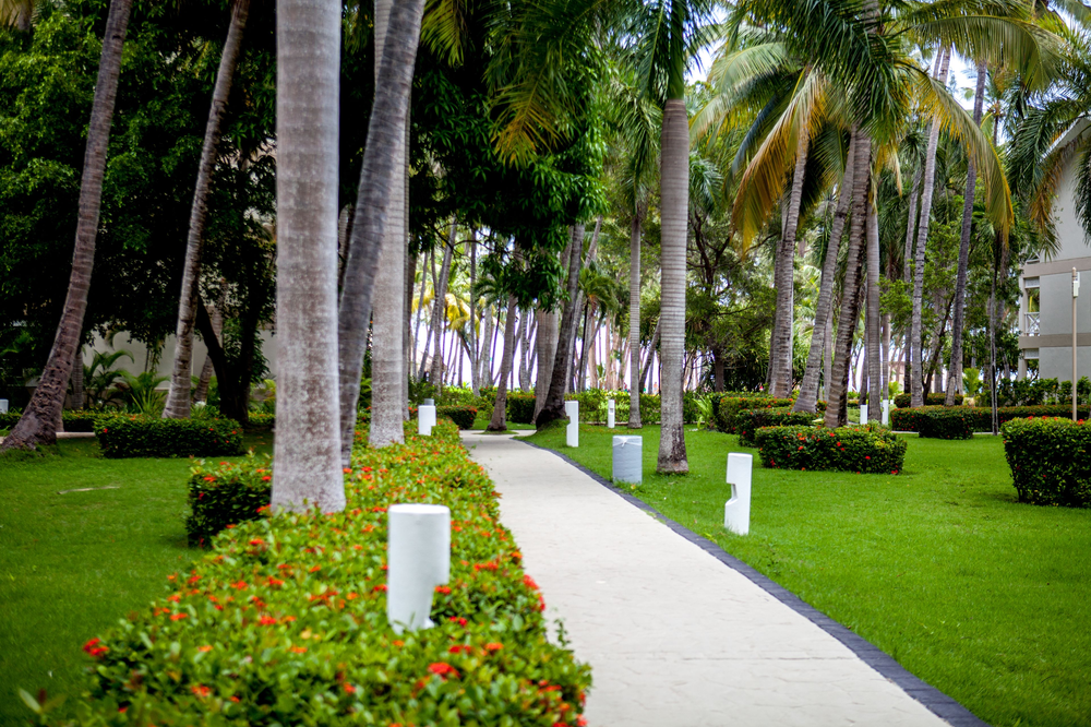 Vista Sol Punta Cana Beach Resort & Spa - Foto 5