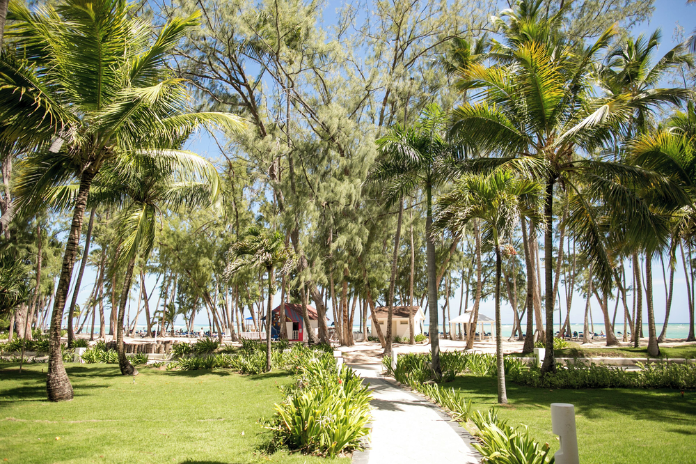 Vista Sol Punta Cana Beach Resort & Spa - Foto 2