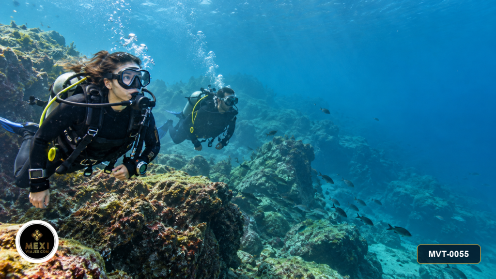 Buceo certificado en Acapulco