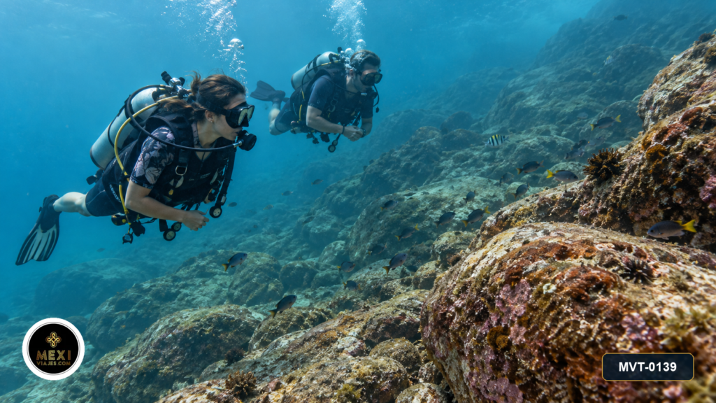 Buceo en Los Arcos de Mismaloya